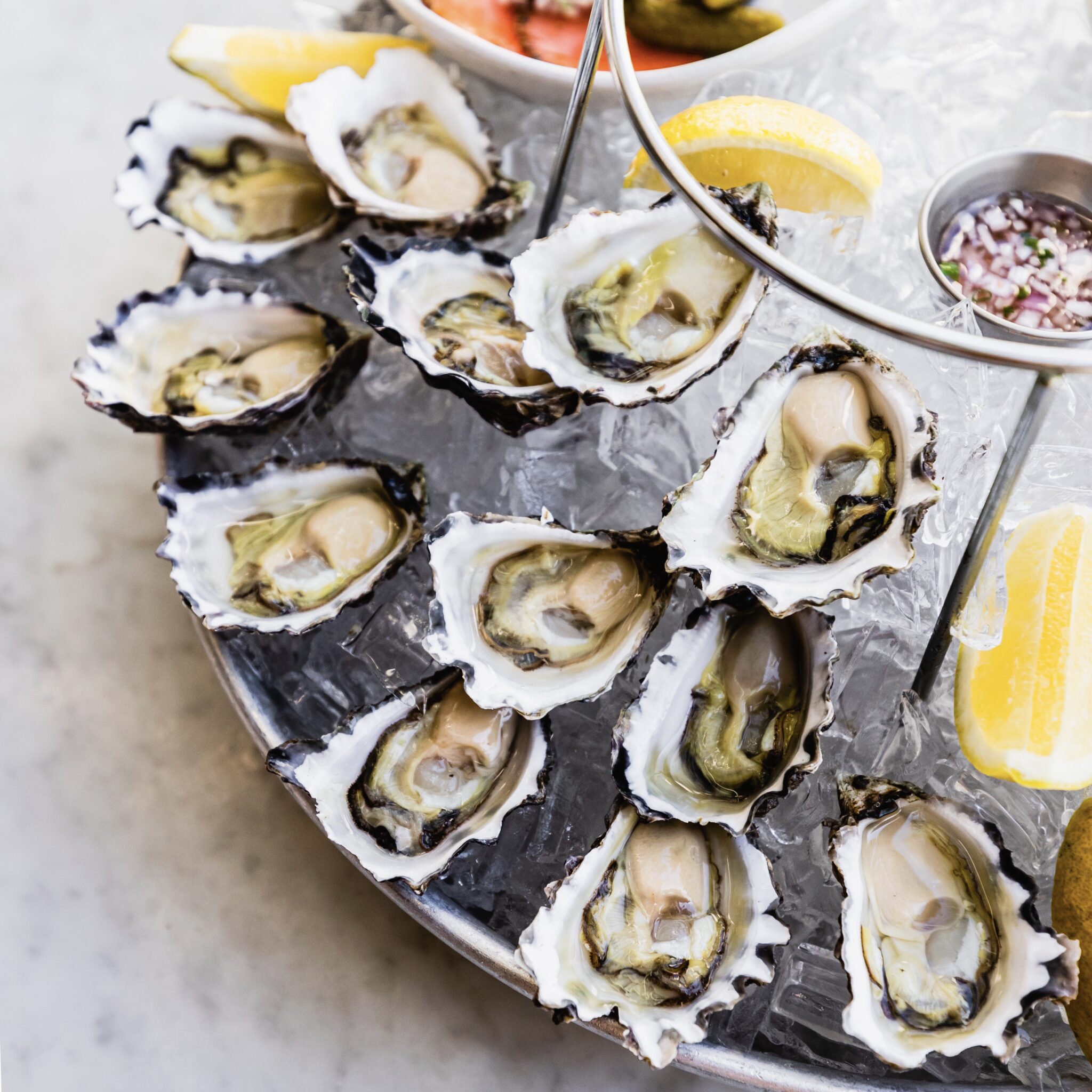 Barangaroo Restaurant Sydney love.fish Seafood Restaurant