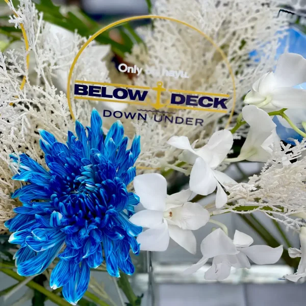 Events at lovefish Barangaroo
